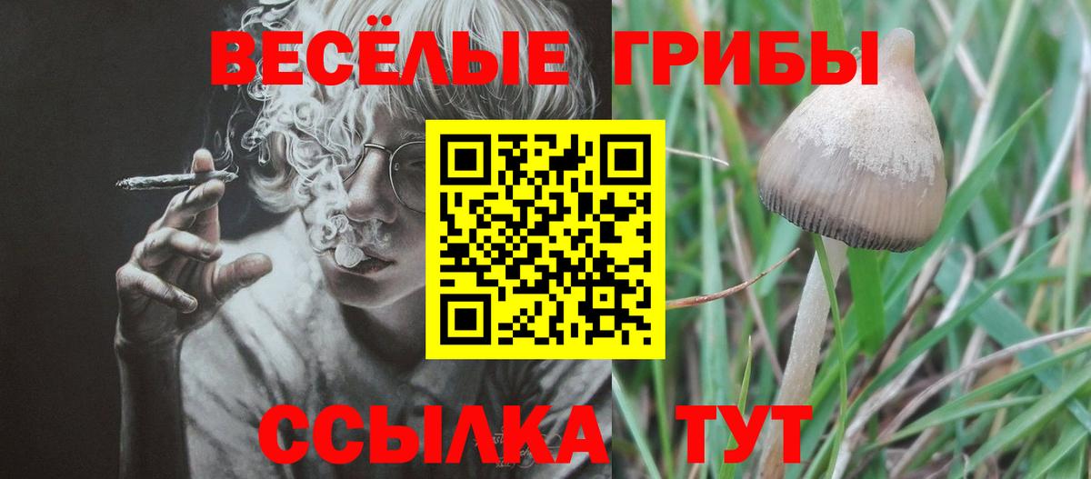 Галлюциногенные грибы прущие грибы Сердобск